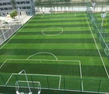 football-turf-500x500
