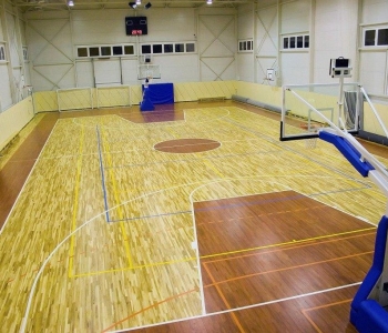 sports-solutions-establishment-for-trade-hardwood-maple-floors-1-1