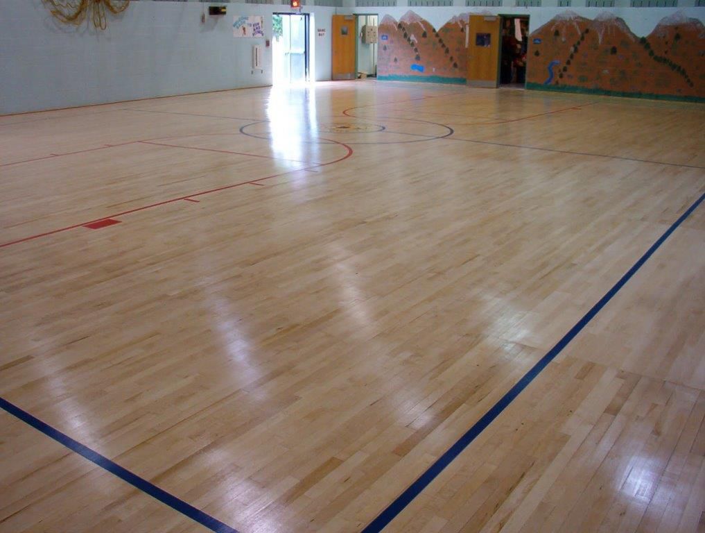 sports-solutions-establishment-for-trade-hardwood-maple-floors